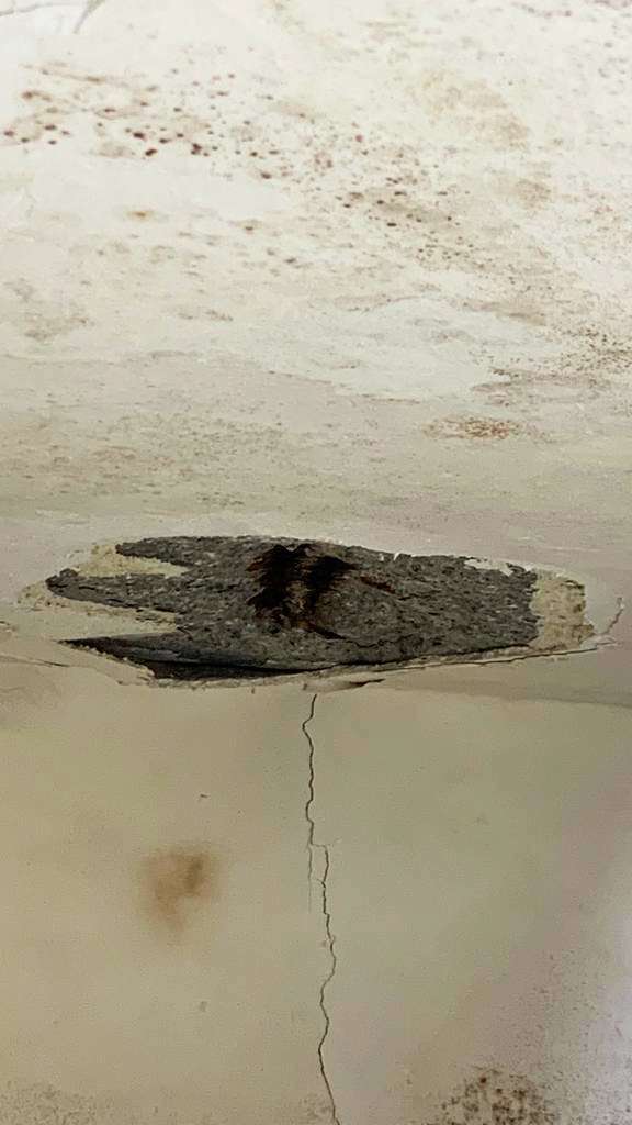 樓上漏水滲水,導致天花板鋼筋生銹膨漲,令石屎爆裂剥落,影響家居安全