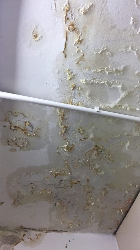 屋企樓上漏水滲水到下層天花板,出現發霉發黑及有白色晶體凝結,有機會導致石屎剥落,影響家居安全