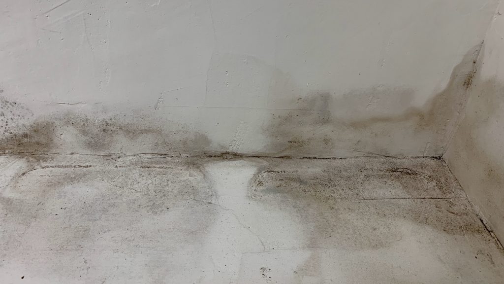 連接浴室的牆身出現發霉及有裂痕,漏水滲水問題蔓延至作間隔的木間板