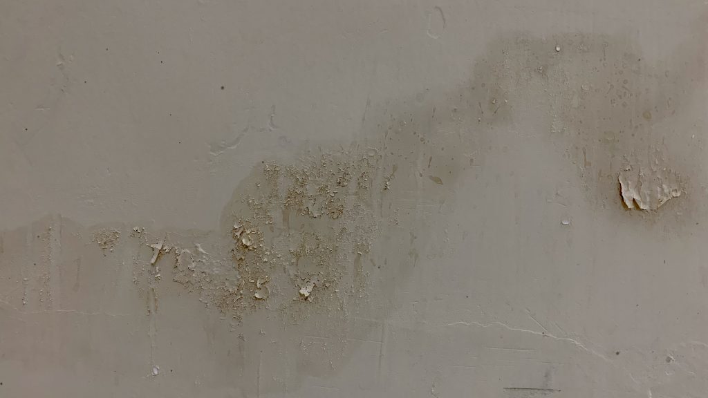 連接浴室的牆身背面出現油漆/乳膠漆脫層及有可見水漬