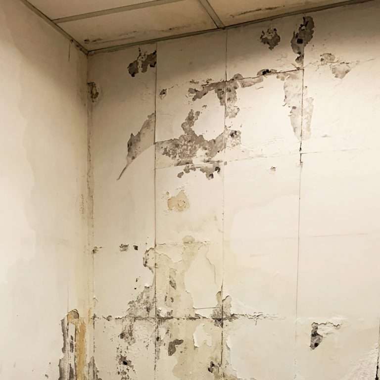 外牆滲水漏水令室內牆身油漆批盪剥落，情況持續有機會出現石屎剥落