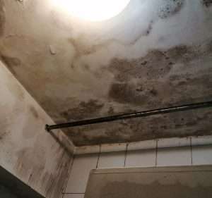 【專業滲水漏水維修】樓上至樓下單位天花 l 浴室滲水 l 天花漏水 l 石屎剝落