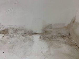 浴室間牆 - 油漆剝落 - 發霉 - 掃口位【專業滲水漏水維修】