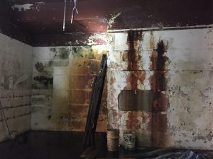 【專業滲水漏水維修】外牆至室內牆身 l 大廈外牆 l 室內牆身 l 大雨颱風後