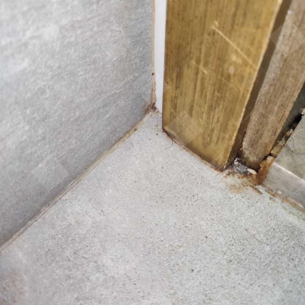 廁所企缸地台滲水漏水問題嚴重,用卓先液─納米滲透型石屎防漏及養護材料重造防水層,廁所木門框門腳可見濕透及發霉