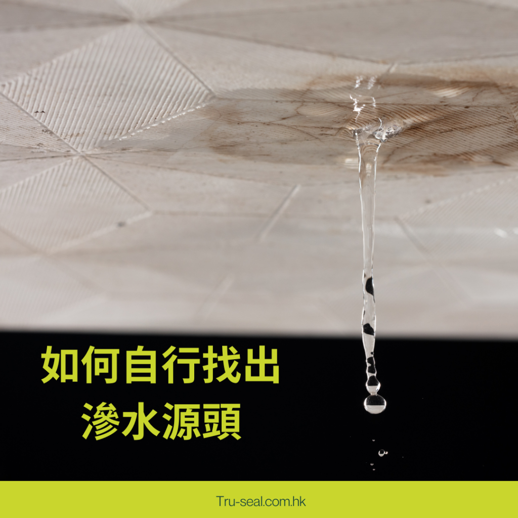 滲水源頭